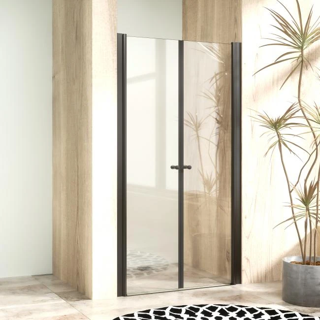 Shower Screen Pivot Shower Door